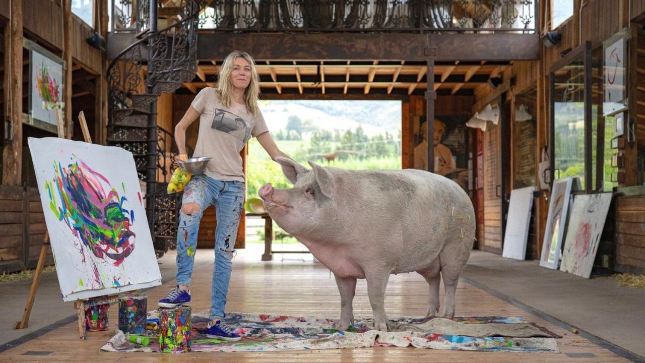 Готель Inspiring Farm Sanctuary And Famous Painting Pig Франсгук Екстер'єр фото