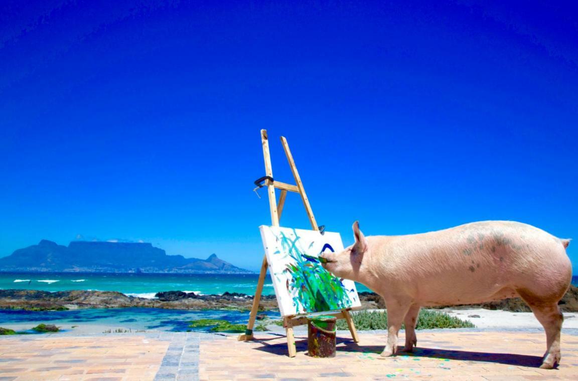 Готель Inspiring Farm Sanctuary And Famous Painting Pig Франсгук Екстер'єр фото